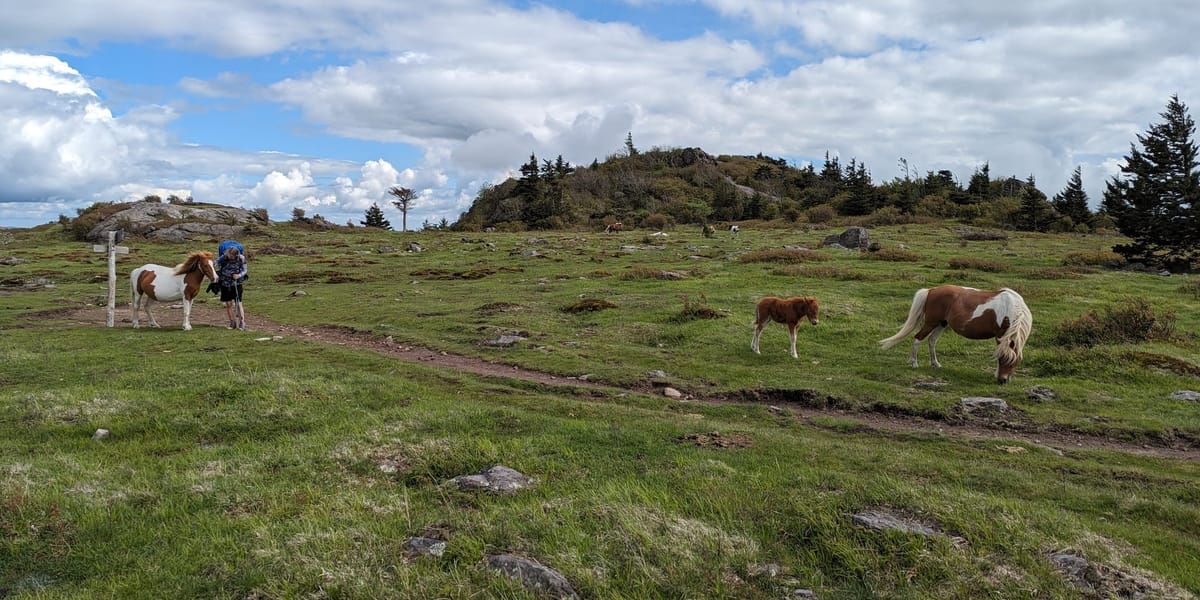 Grayson Highlands