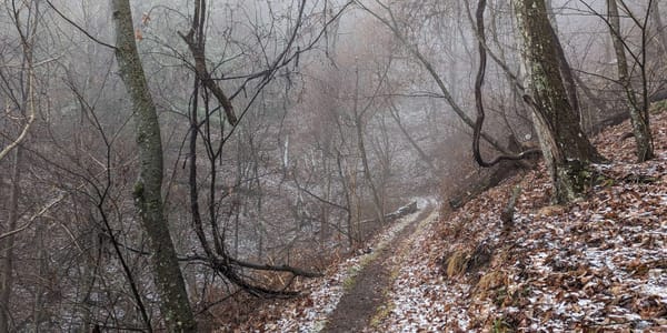 Trail with Snow